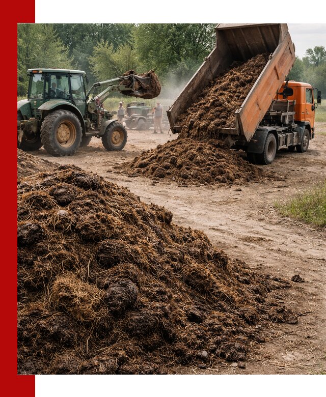 Доставка навоза самосвалами в Кулебаках для сельхозпотребностей